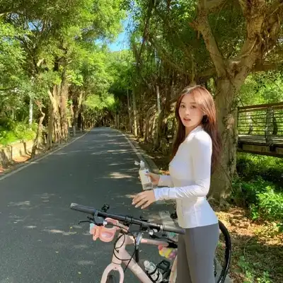 龙飞思